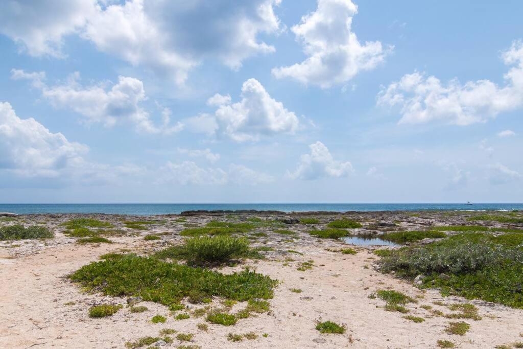 Ground Level Garden Condo At Akumal South By Tao Santamar Eksteriør billede