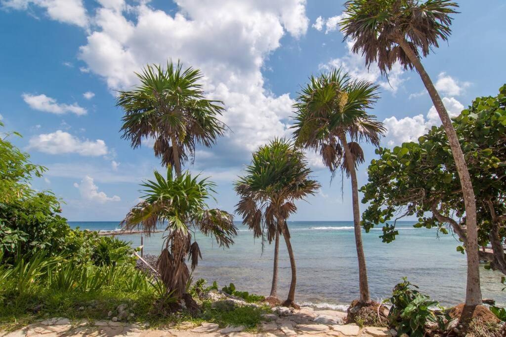 Ground Level Garden Condo At Akumal South By Tao Santamar Eksteriør billede